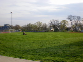 Территория школы, спортивные площадки
